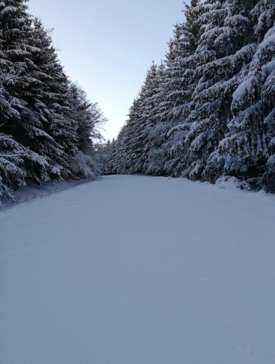 シュライデンPoehl Am Nationalpark Eifelアパートメント エクステリア 写真